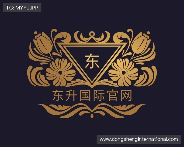 发现东升国际官网